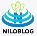 گیتاریست تنها 